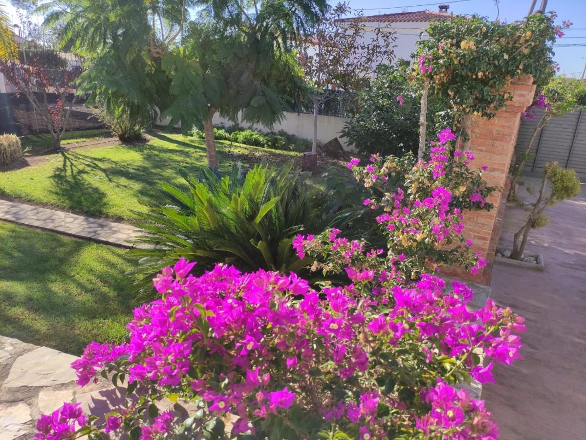 Villa Parets De Sucre Les Cases d'Alcanar Ngoại thất bức ảnh